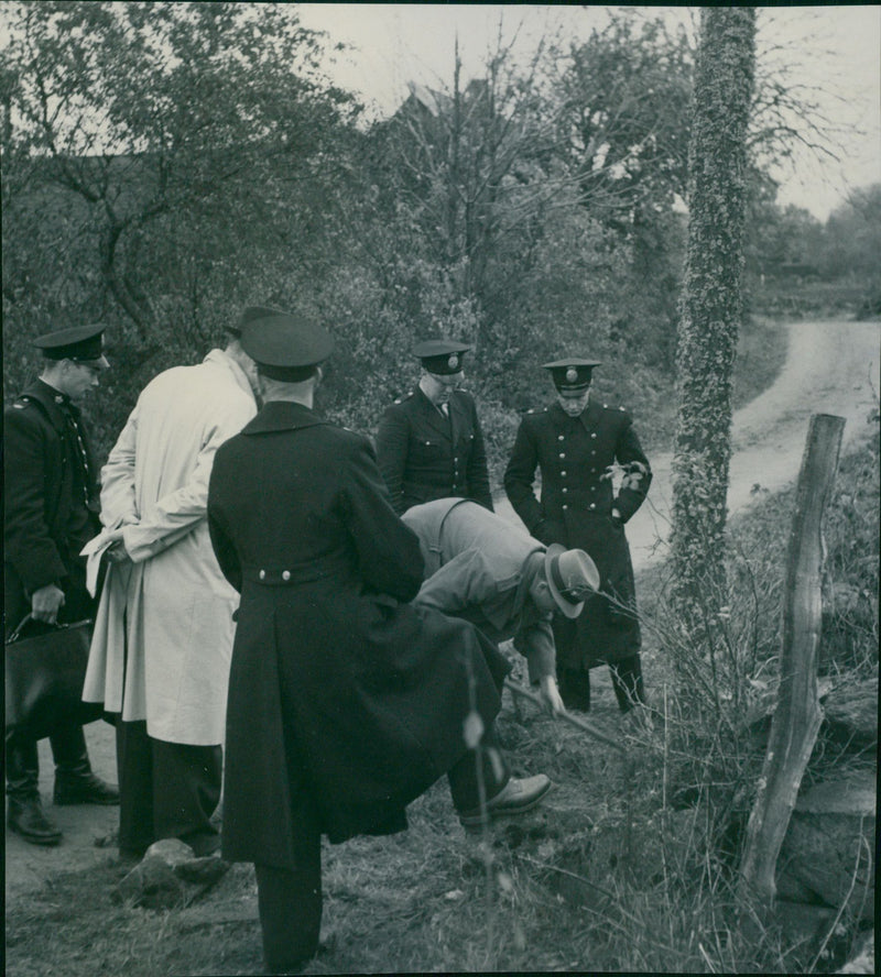 Kriminalmän examines the track at the murder scene in Vankiva - 19 October 1948 - Vintage Photograph