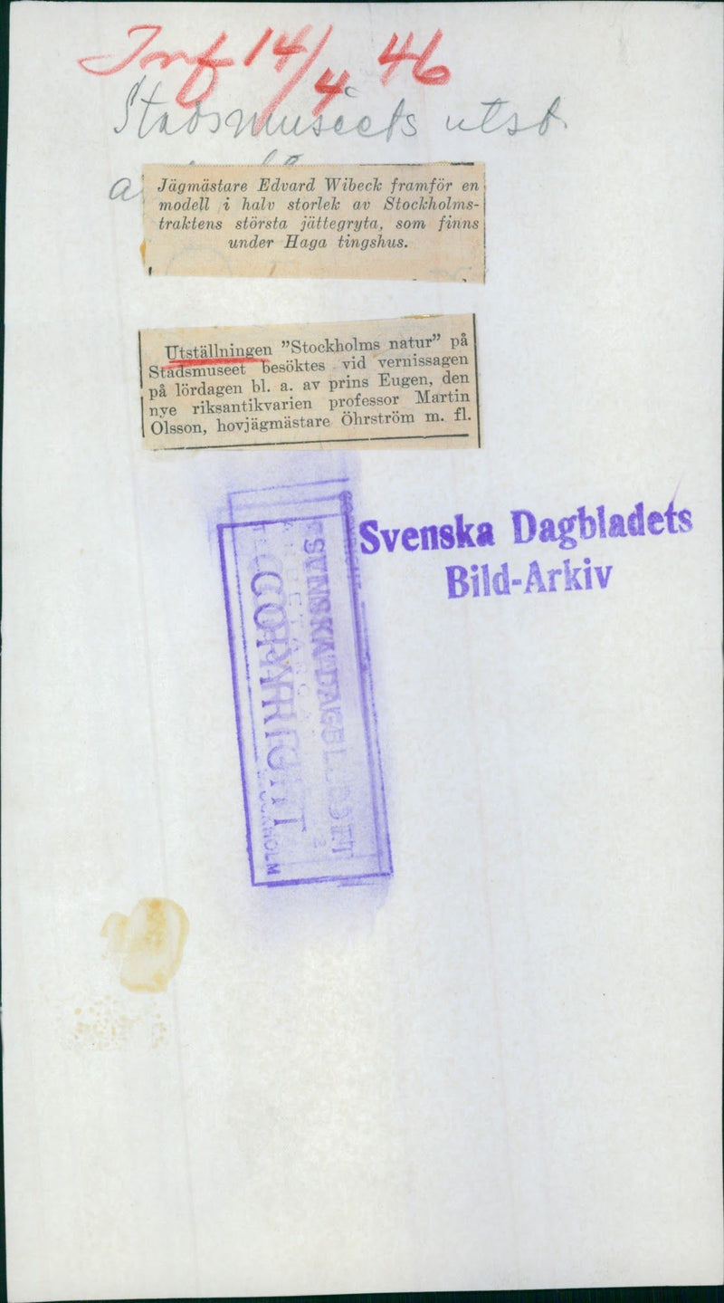 Edvard Wilbeck front of the model of the pothole at the exhibition "New Nature" at the City Museum. - 14 April 1946 - Vintage Photograph