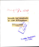 The musician Hugo Falck appeared at Varnhems abbey - 24 June 1949 - Vintage Photograph