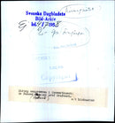 Delegates in conversation at the Surgical Congress Concert Hall - Vintage Photograph