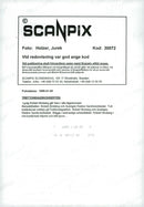 Epiphany Concert Berwaldhallen - Vintage Photograph