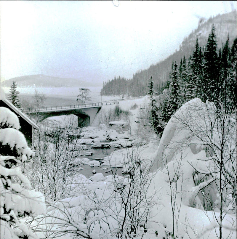 Bridge in winter landscape. - Vintage Photograph