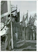 Military companion compound vÃ¥rparad - Vintage Photograph