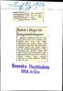 Garden Architects at the international landscape architect Congress - Vintage Photograph