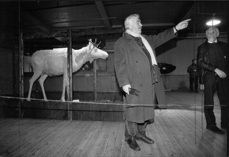 His Adolfredson cut the ribbon at the inauguration of Skansen's animal Cabinet - Vintage Photograph