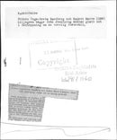 Royal Military School kadettbal - Vintage Photograph