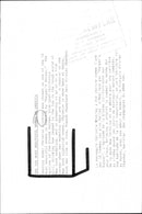 The model Christie Brinkley was elected one of the 10 most beautiful women in America of "Harper's Bazaar" - Vintage Photograph