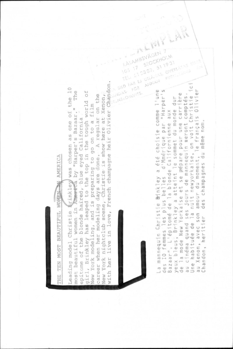 The model Christie Brinkley was elected one of the 10 most beautiful women in America of "Harper's Bazaar" - Vintage Photograph