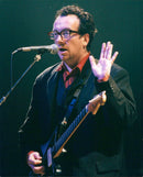 Elvis Costello appears at Roskilde Festival - Vintage Photograph