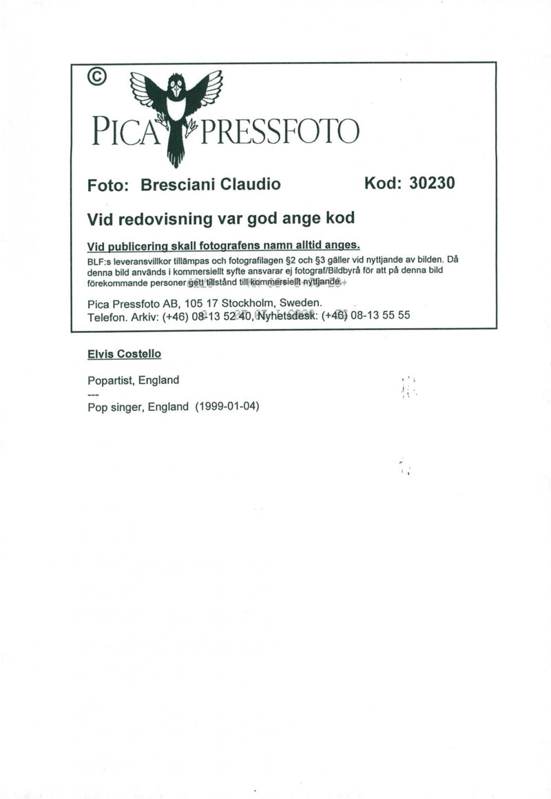 Elvis Costello occurs - Vintage Photograph