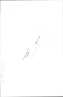 Elvis Costello occurs - Vintage Photograph