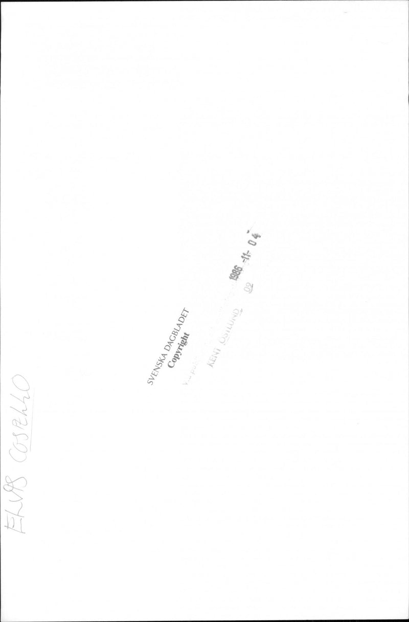 Elvis Costello occurs - Vintage Photograph