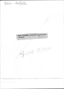 Elvis Costello - drawing card at the festival in Roskilde - Vintage Photograph