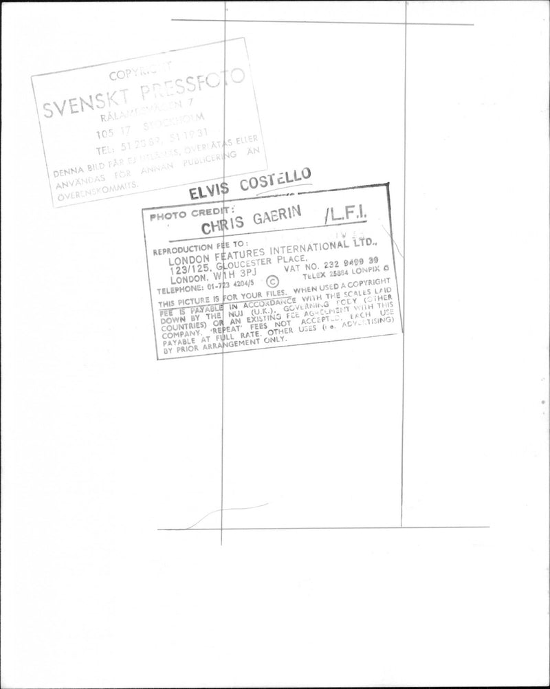 Elvis Costello - Vintage Photograph