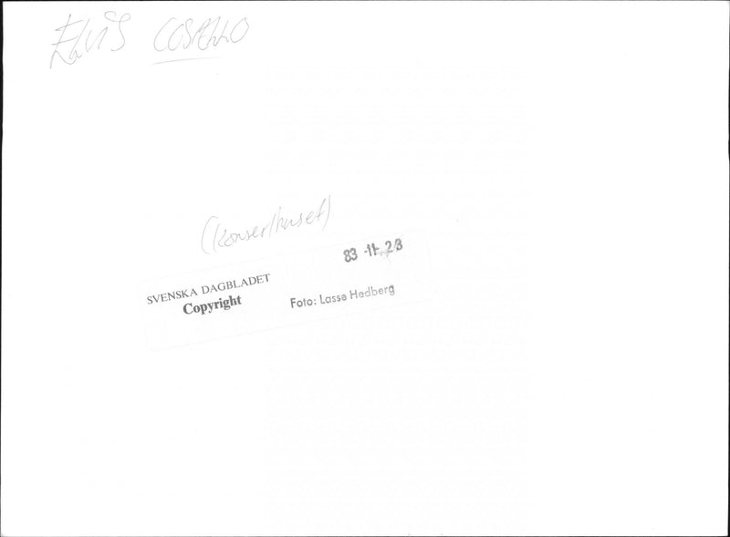 Elvis Costello appears in the Stockholm Concert Hall - Vintage Photograph