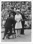 Francis Chichester knighted by Queen Elizabeth - Vintage Photograph