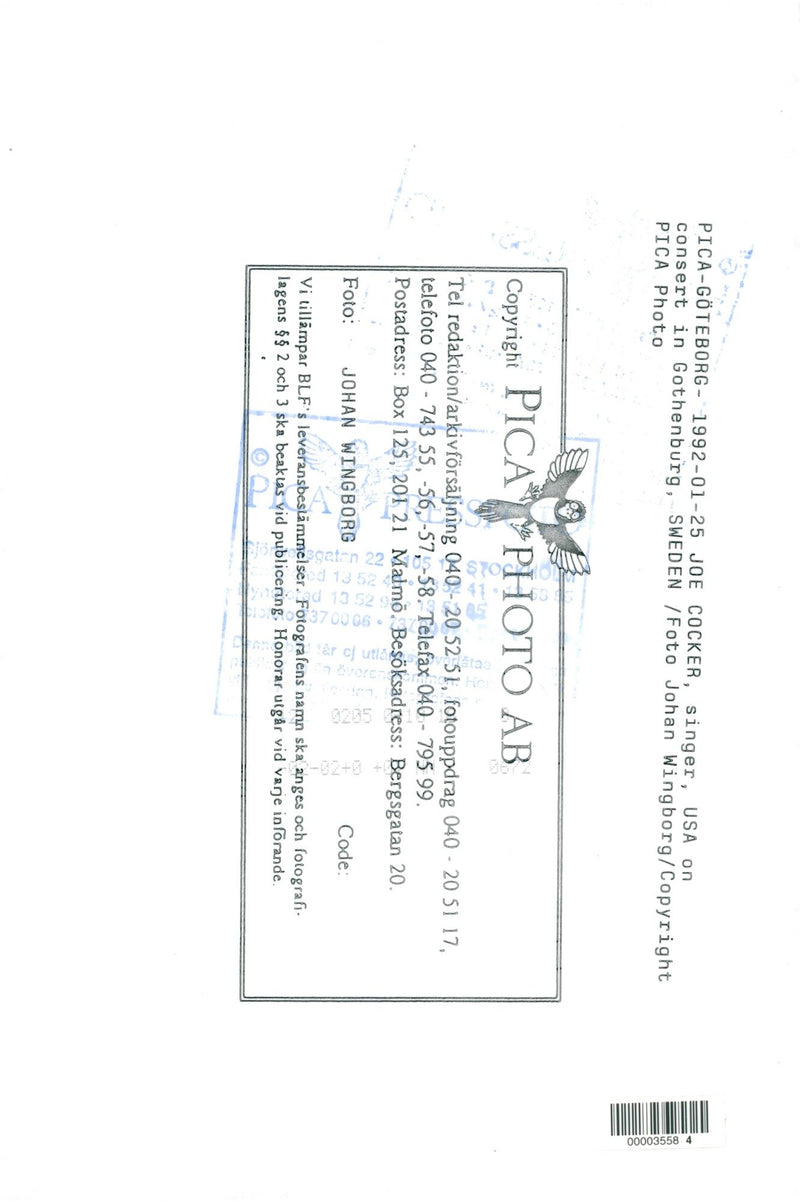 Joe Cocker occurs - Vintage Photograph