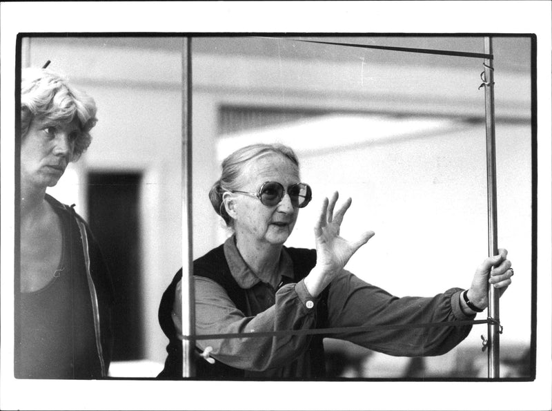 Birgit Cullberg doing ballet to ABBA's music. T. v. Kenneth Gustafsson - Vintage Photograph