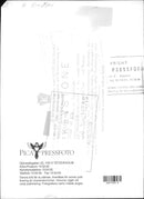 Politicians Nikita Khrushchev - Vintage Photograph