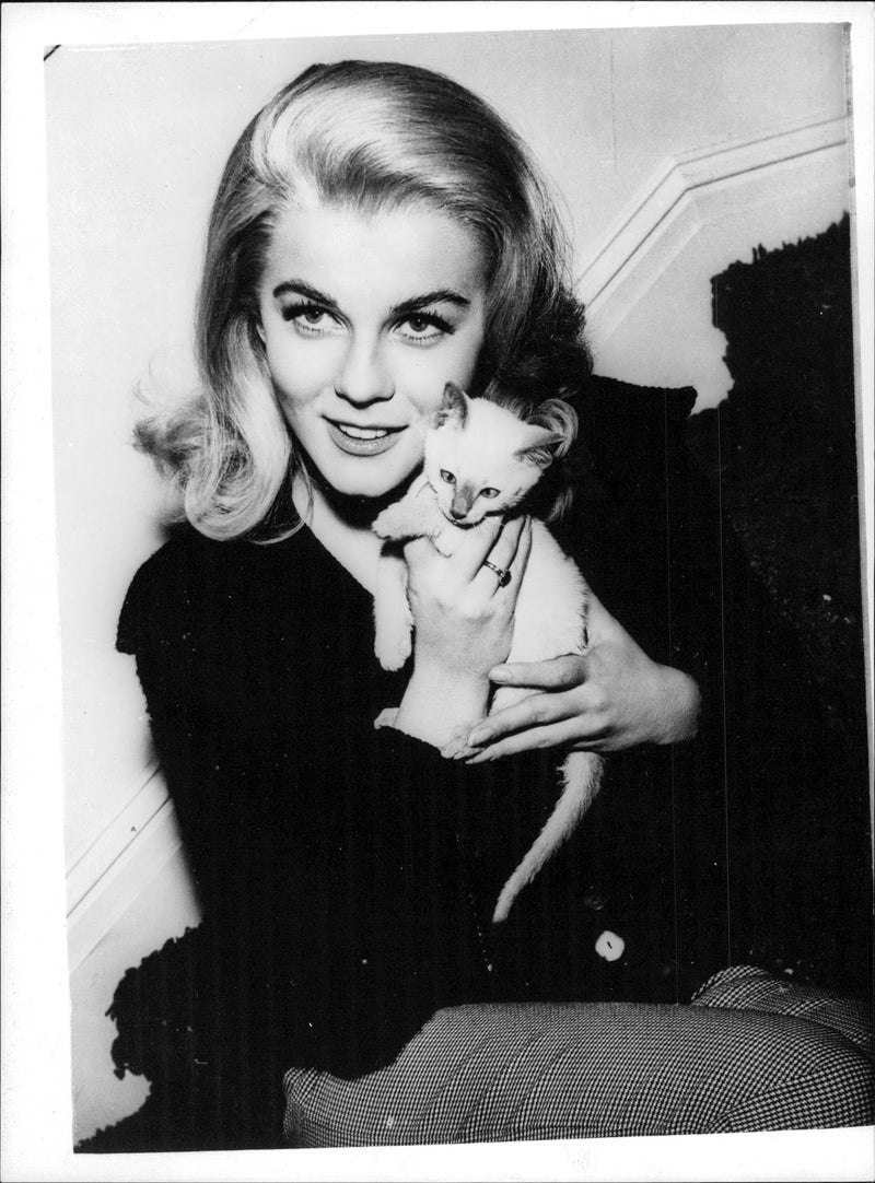 Ann-Margret cuddling with a kitten - Vintage Photograph