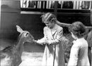 Scottish royals feed animals - Vintage Photograph
