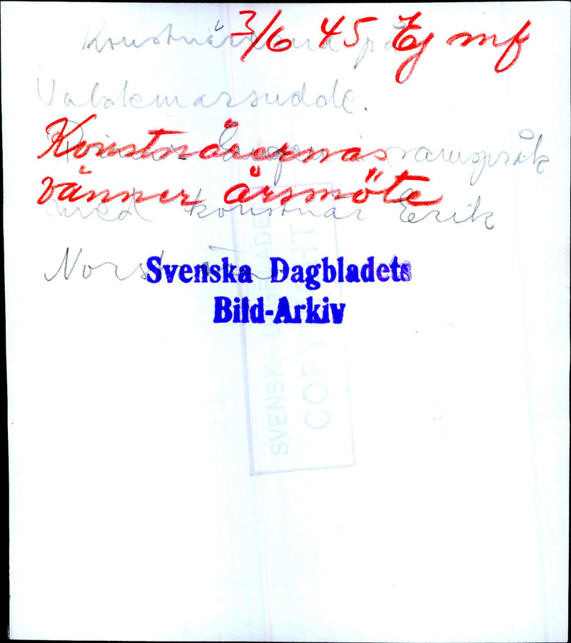 Artists &#39;friends&#39; annual meeting at Valdemarsudde. Prince Eugen in concert with the artist Erik N. - 3 June 1945 - Vintage Photograph