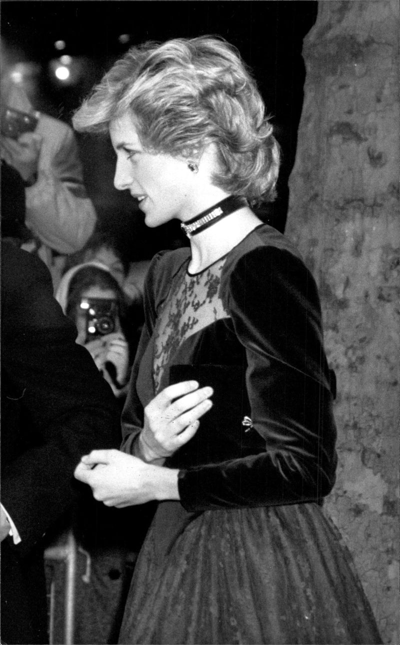 Princess Diana - Vintage Photograph