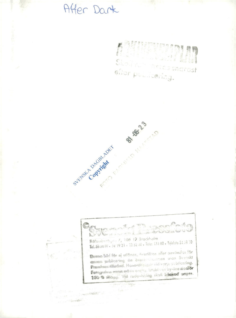 The music group After Dark - Vintage Photograph