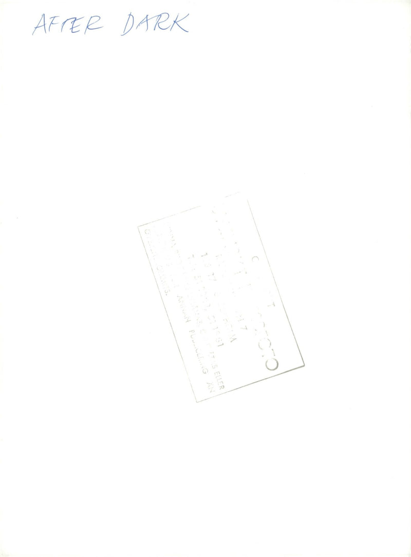 The music group After Dark, Christer Lindarw and Lasse Flinckman - Vintage Photograph