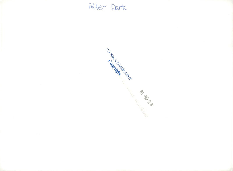 The music group After Dark, Christer Lindarw and Lasse Flinckman - Vintage Photograph