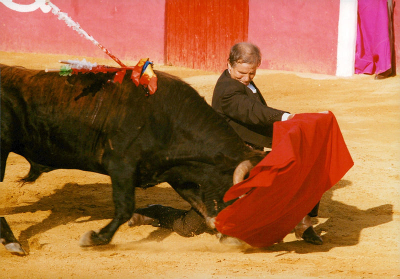 Manuel Benitez electricity Codobes bullfighter 60 years in the ring - Vintage Photograph