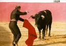 Manuel Benitez electricity Codobes bullfighter 60 years in the ring - Vintage Photograph