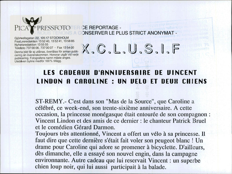Princess Caroline of Monaco bicycles in the countryside with her two dogs. - Vintage Photograph