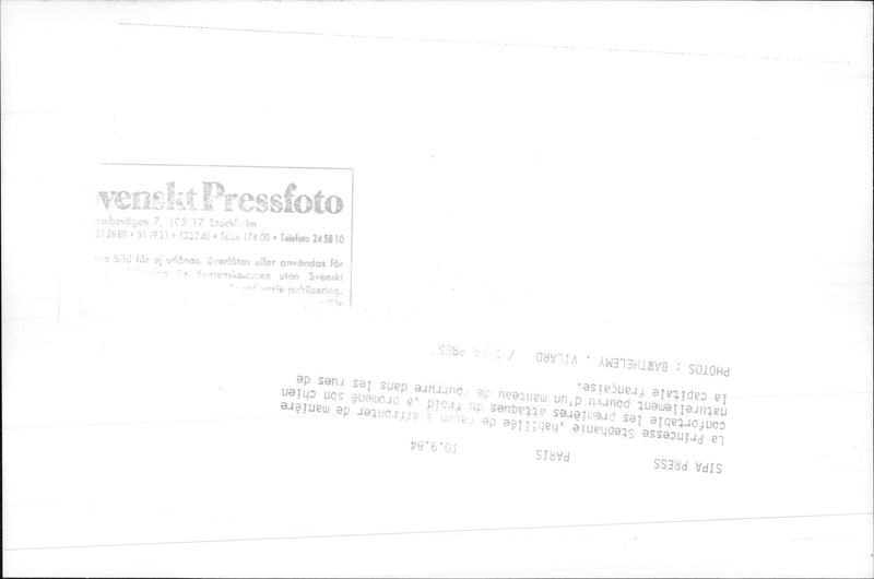 Princess Stephanie of Monaco with the dog. - Vintage Photograph