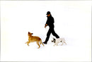 Princess Caroline walking their dogs on a skiing holiday - Vintage Photograph