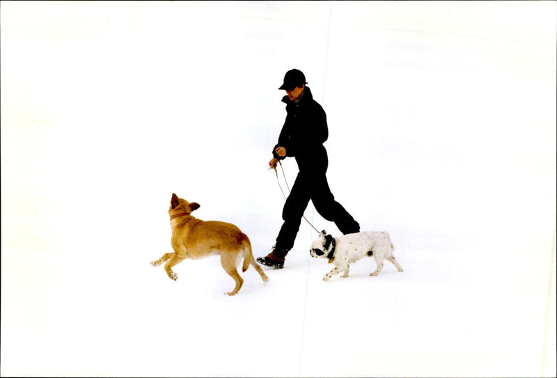 Princess Caroline walking their dogs on a skiing holiday - Vintage Photograph