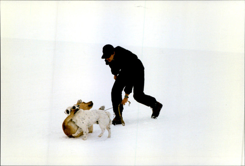 Princess Caroline walking their dogs on a skiing holiday - Vintage Photograph
