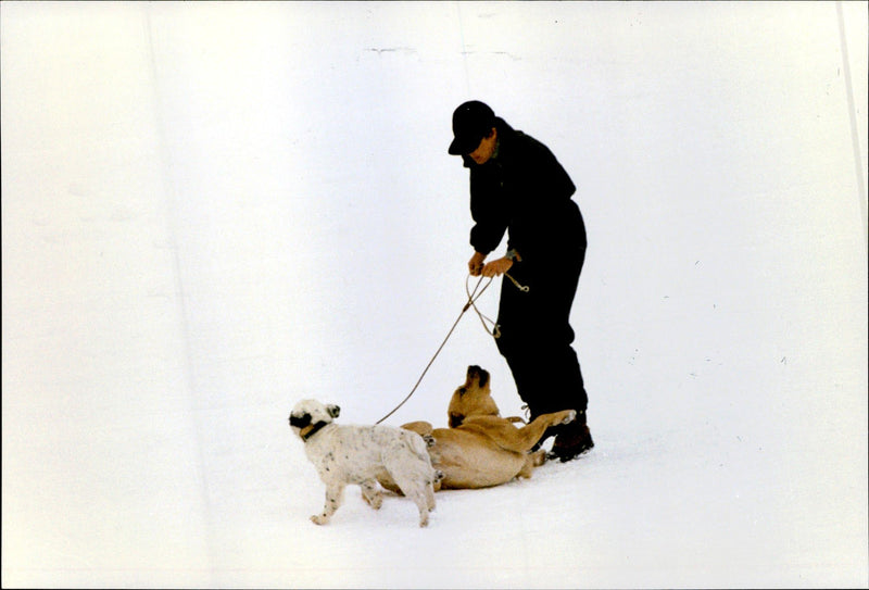 Princess Caroline walking their dogs on a skiing holiday - Vintage Photograph