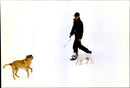 Princess Caroline walking their dogs on a skiing holiday - Vintage Photograph
