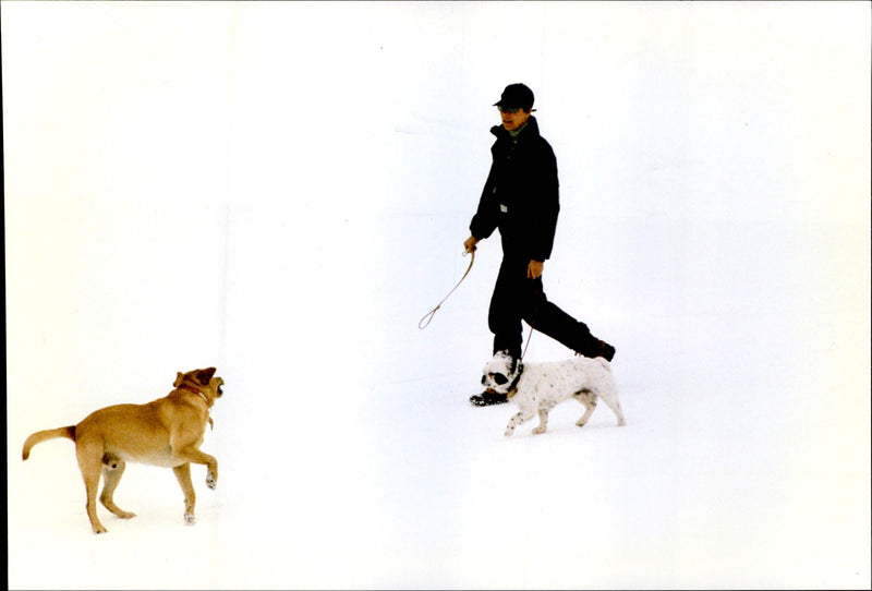 Princess Caroline walking their dogs on a skiing holiday - Vintage Photograph