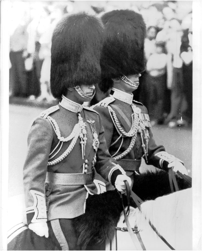 Prince Charles and Prince Edward at the celebration of Queen Elizabeth II - Vintage Photograph