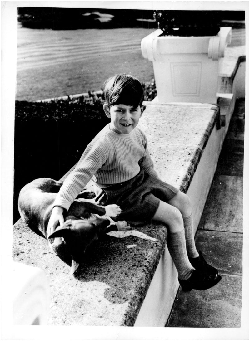 Prince Charles along with family dog ââHoney - Vintage Photograph