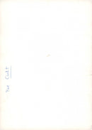 The rock band The Cult - Vintage Photograph