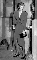 Princess Diana at dinner with European ministers - Vintage Photograph