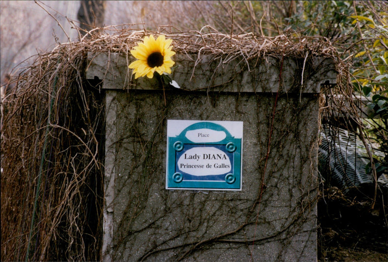 A sign with Princess Diana clears the entrance to Alma underpressure. - Vintage Photograph