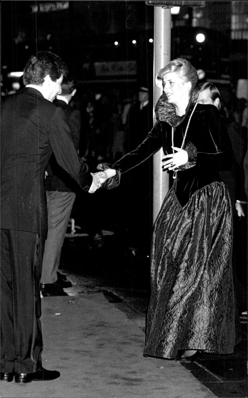 Princess Diana at charity gala - Vintage Photograph