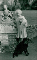 Barbara Cartland out in the garden with her two dogs - Vintage Photograph