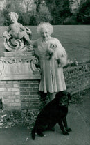 Barbara Cartland out in the garden with her two dogs - Vintage Photograph