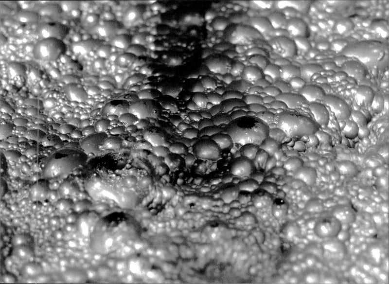 The plant in Kristineberg - Vintage Photograph