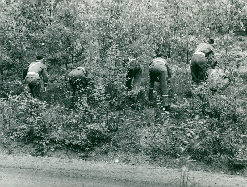 Officers combed the area in search of something that could be traced to the murder. - Vintage Photograph